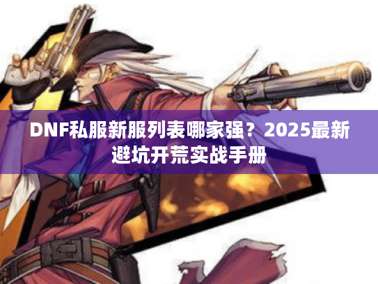 DNF私服新服列表哪家强？2025最新避坑开荒实战手册