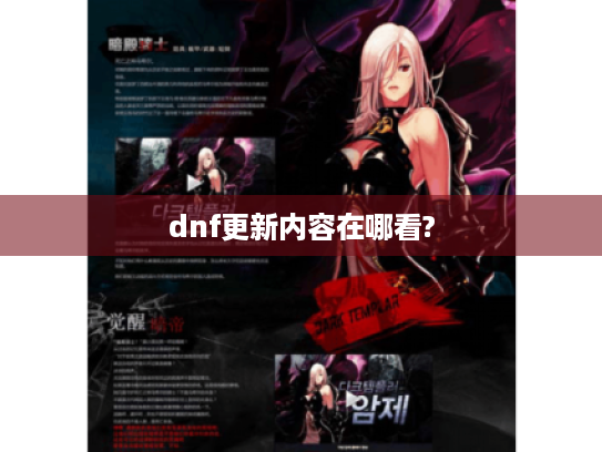 dnf更新内容在哪看?