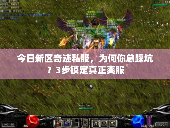 今日新区奇迹私服，为何你总踩坑？3步锁定真正爽服