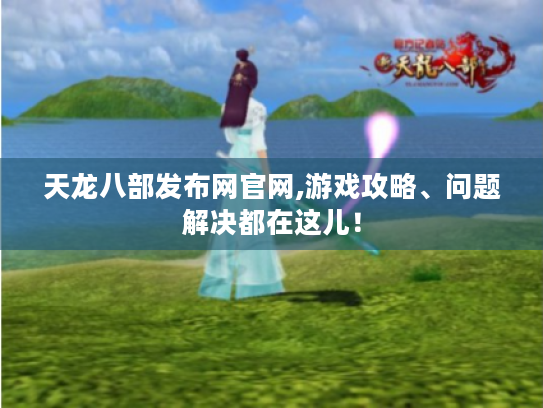 天龙八部发布网官网,游戏攻略、问题解决都在这儿！