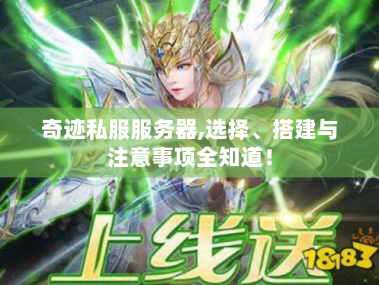 奇迹私服服务器,选择、搭建与注意事项全知道！