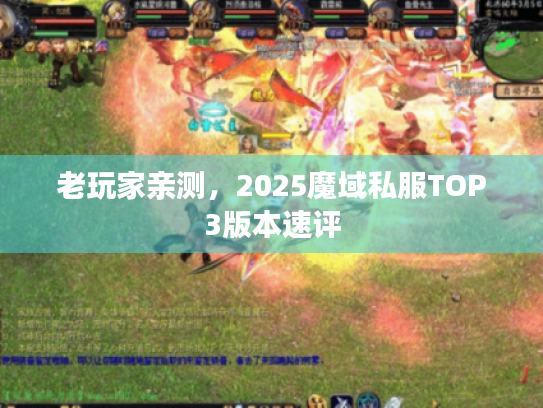 老玩家亲测，2025魔域私服TOP3版本速评