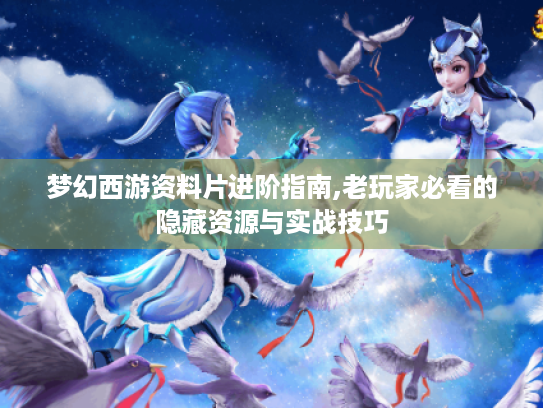 梦幻西游资料片进阶指南,老玩家必看的隐藏资源与实战技巧