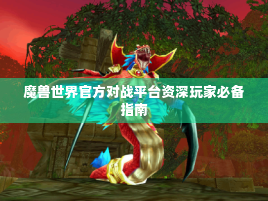 魔兽世界官方对战平台资深玩家必备指南