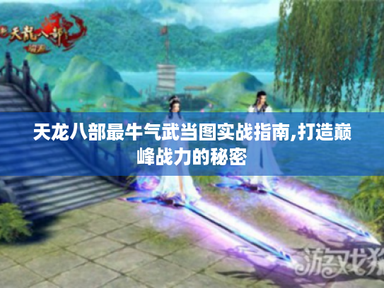 天龙八部最牛气武当图实战指南,打造巅峰战力的秘密