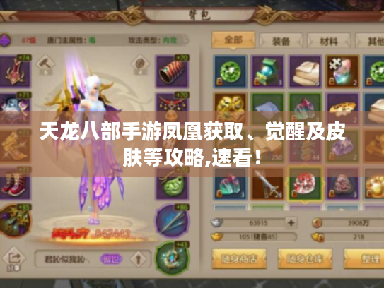 天龙八部手游凤凰获取、觉醒及皮肤等攻略,速看！