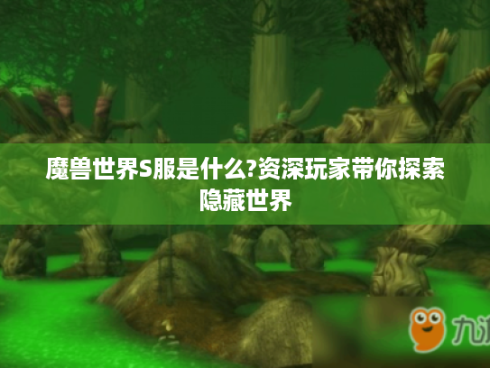 魔兽世界S服是什么?资深玩家带你探索隐藏世界