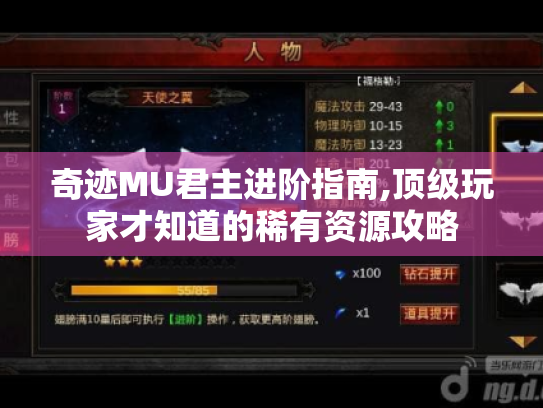 奇迹MU君主进阶指南,顶级玩家才知道的稀有资源攻略