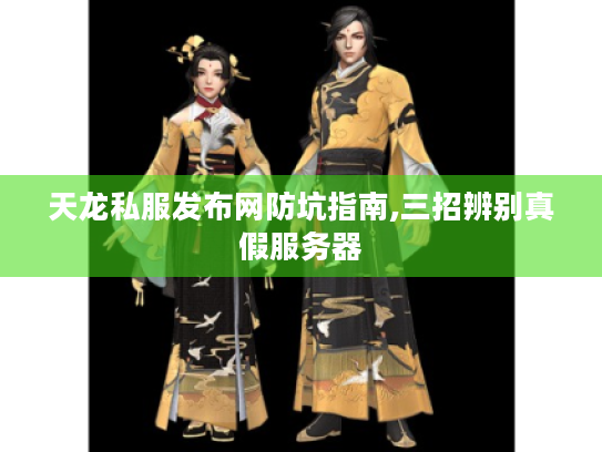 天龙私服发布网防坑指南,三招辨别真假服务器