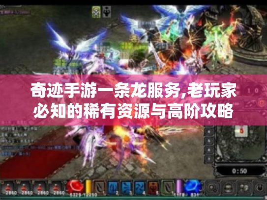 奇迹手游一条龙服务,老玩家必知的稀有资源与高阶攻略