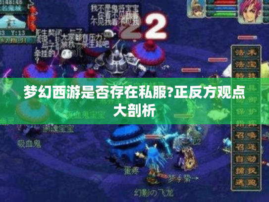 梦幻西游是否存在私服?正反方观点大剖析