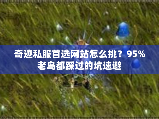 奇迹私服首选网站怎么挑?95%老鸟都踩过的坑速避 奇迹私服首选网站怎么挑?95%老鸟都踩过的坑速避