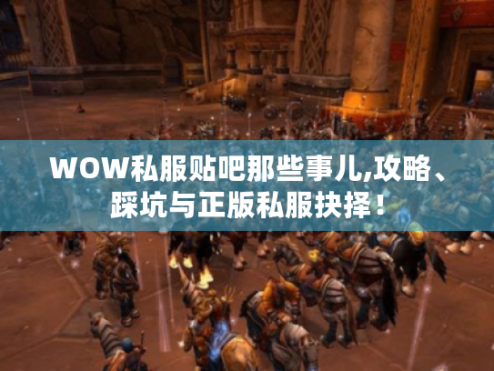 WOW私服贴吧那些事儿,攻略、踩坑与正版私服抉择！