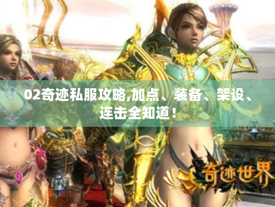 02奇迹私服攻略,加点、装备、架设、连击全知道！