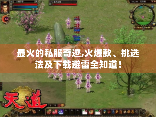 最火的私服奇迹,火爆款、挑选法及下载避雷全知道! 最火的私服奇迹,火爆款、挑选法及下载避雷全知道!