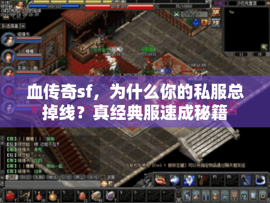 血传奇sf,为什么你的私服总掉线?真经典服速成秘籍 血传奇sf,为什么你的私服总掉线?真经典服速成秘籍