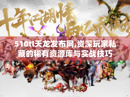 510tl天龙发布网,资深玩家私藏的稀有资源库与实战技巧