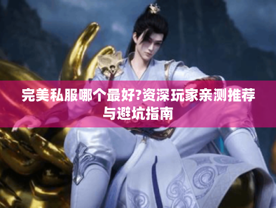 完美私服哪个最好?资深玩家亲测推荐与避坑指南