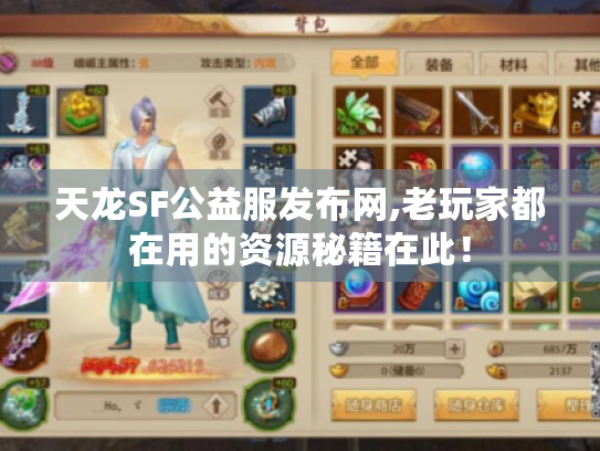 天龙SF公益服发布网,老玩家都在用的资源秘籍在此！