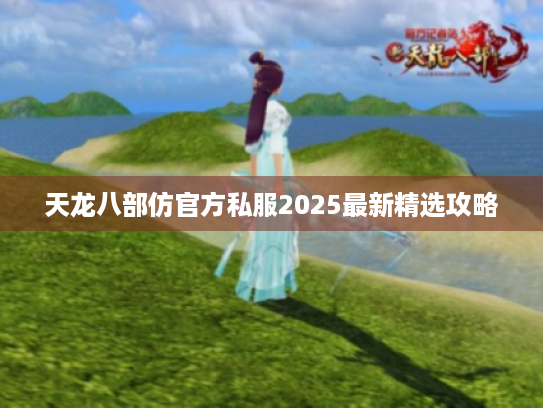 天龙八部仿官方私服2025最新精选攻略
