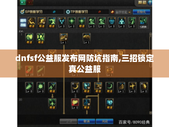 dnfsf公益服发布网防坑指南,三招锁定真公益服