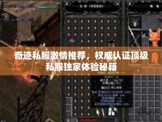 奇迹私服激情推荐，权威认证顶级私服独家体验秘籍