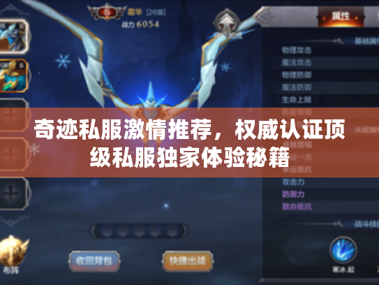 奇迹私服激情推荐，权威认证顶级私服独家体验秘籍