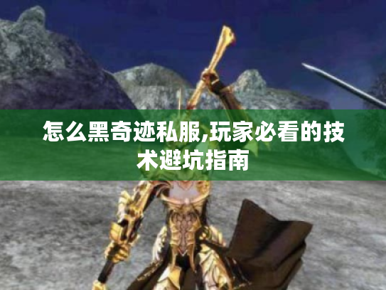 怎么黑奇迹私服,玩家必看的技术避坑指南
