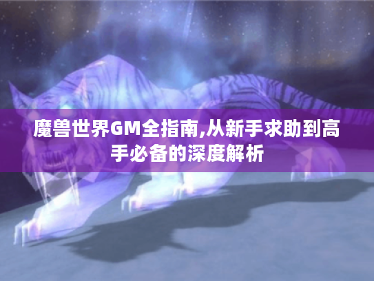 魔兽世界GM全指南,从新手求助到高手必备的深度解析 魔兽世界GM全指南,从新手求助到高手必备的深度解析