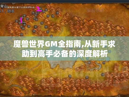 魔兽世界GM全指南,从新手求助到高手必备的深度解析 魔兽世界GM全指南,从新手求助到高手必备的深度解析