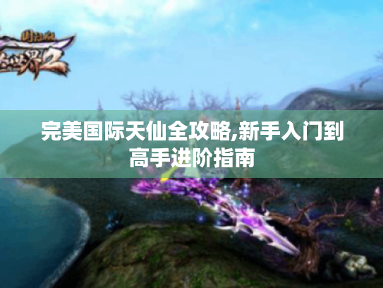完美国际天仙全攻略,新手入门到高手进阶指南