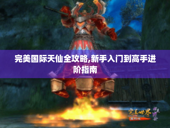 完美国际天仙全攻略,新手入门到高手进阶指南