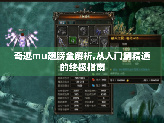 奇迹mu翅膀全解析,从入门到精通的终极指南