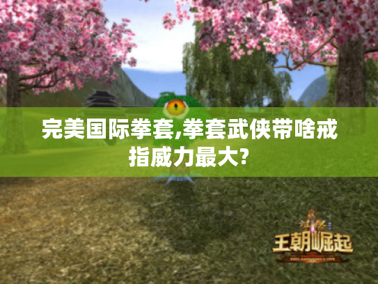 完美国际拳套,拳套武侠带啥戒指威力最大?