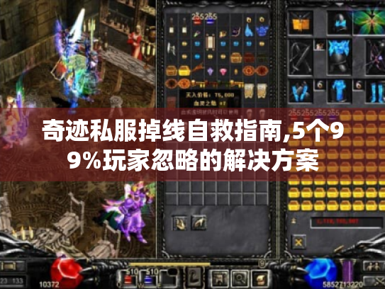 奇迹私服掉线自救指南,5个99%玩家忽略的解决方案