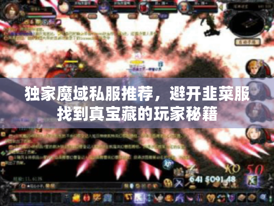 独家魔域私服推荐，避开韭菜服找到真宝藏的玩家秘籍