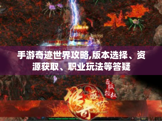 手游奇迹世界攻略,版本选择、资源获取、职业玩法等答疑