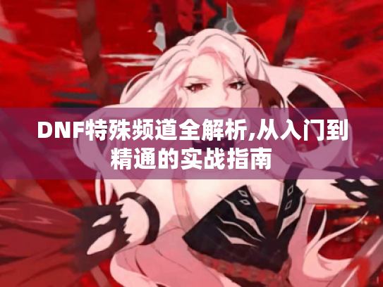 DNF特殊频道全解析,从入门到精通的实战指南