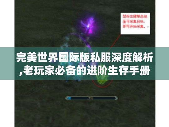 完美世界国际版私服深度解析,老玩家必备的进阶生存手册