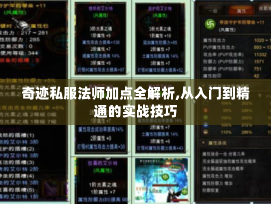 奇迹私服法师加点全解析,从入门到精通的实战技巧