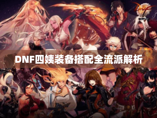 DNF四姨装备搭配全流派解析