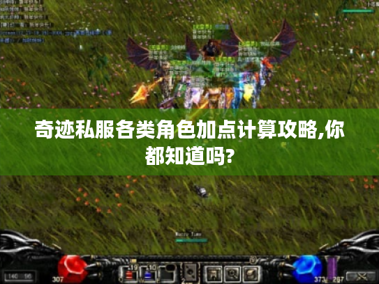 奇迹私服各类角色加点计算攻略,你都知道吗?