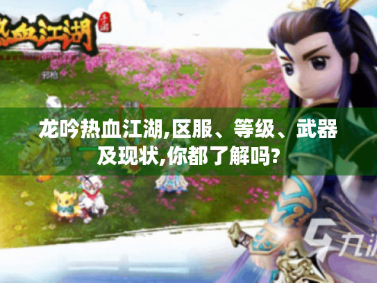 龙吟热血江湖,区服、等级、武器及现状,你都了解吗?