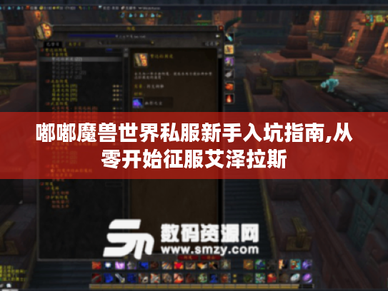 嘟嘟魔兽世界私服新手入坑指南,从零开始征服艾泽拉斯