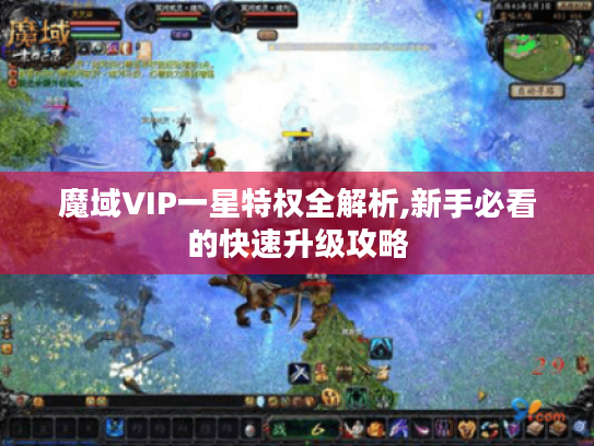 魔域VIP一星特权全解析,新手必看的快速升级攻略