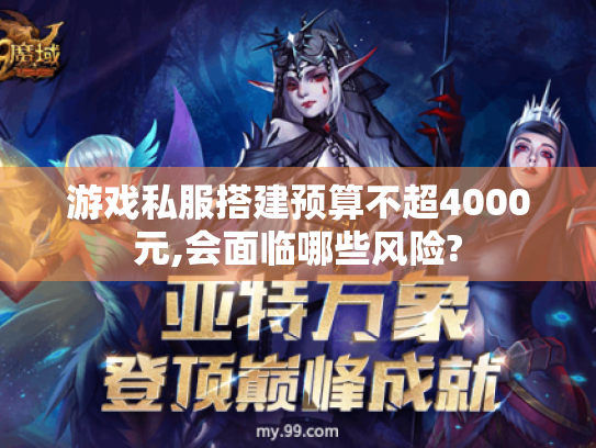 游戏私服搭建预算不超4000元,会面临哪些风险?