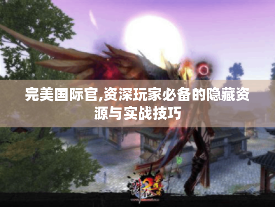 完美国际官,资深玩家必备的隐藏资源与实战技巧