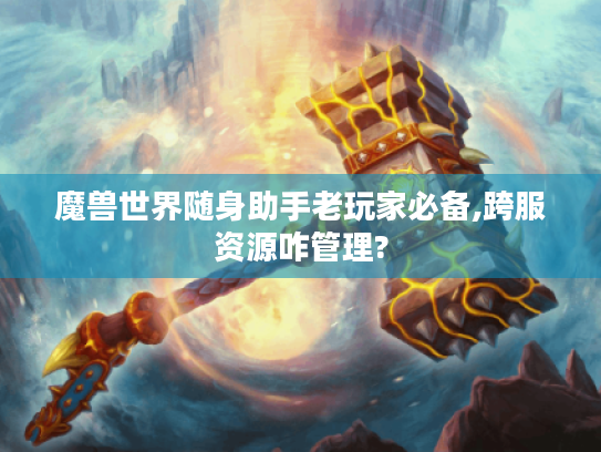 魔兽世界随身助手老玩家必备,跨服资源咋管理?