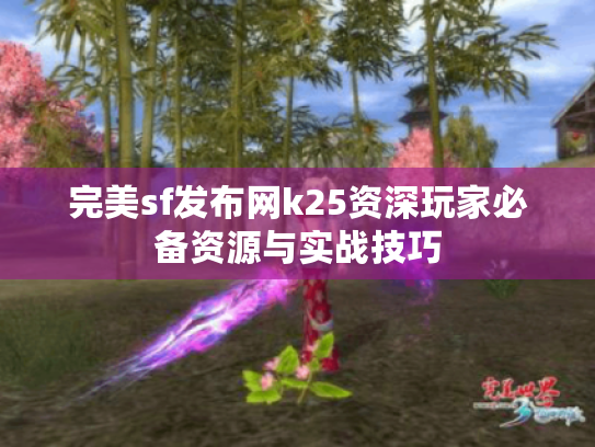 完美sf发布网k25资深玩家必备资源与实战技巧