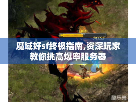 魔域好sf终极指南,资深玩家教你挑高爆率服务器